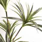 Árvore Artificial Dracena Toque Real | Formosinha